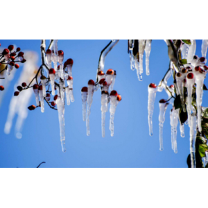 2020年农历小寒是什么时候 2020小寒是几九第几天