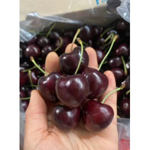 车厘子上市旺季传言多 官方科普：适量食用更健康