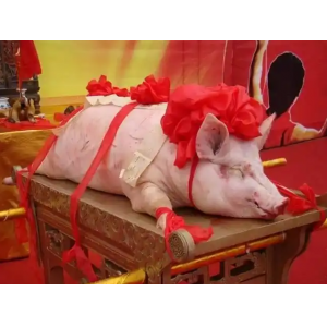 重庆首届年猪文化节启幕 6米巨锅刨猪汤沸腾巴渝年味