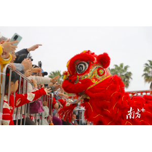 湛江今日举办迎春民俗展演，非遗盛宴点亮市民新春生活